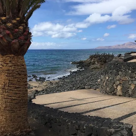 Verena بويرتو ذيل كارمين